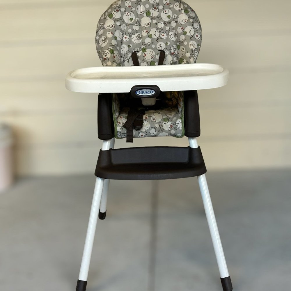 Graco 2-in-1 Highchair and Booster Seat